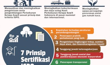 Sistem Sertifikasi Perkebunan Kelapa Sawit Berkelanjutan Indonesia